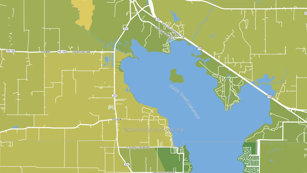 Kemp, TX block-group voter-turnout map