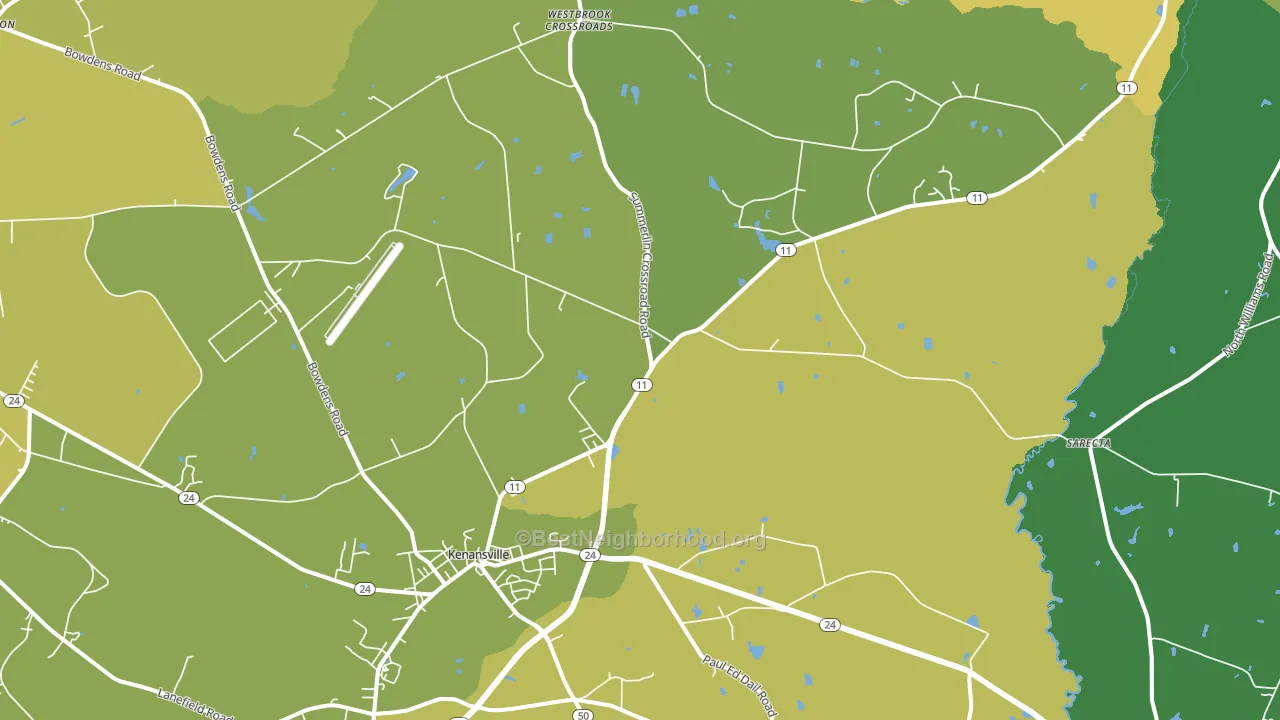 Kenansville, NC block-group voter-turnout map