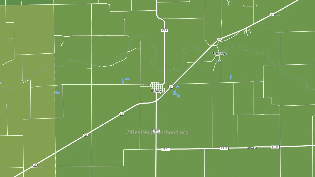 Kenney, IL block-group voter-turnout map