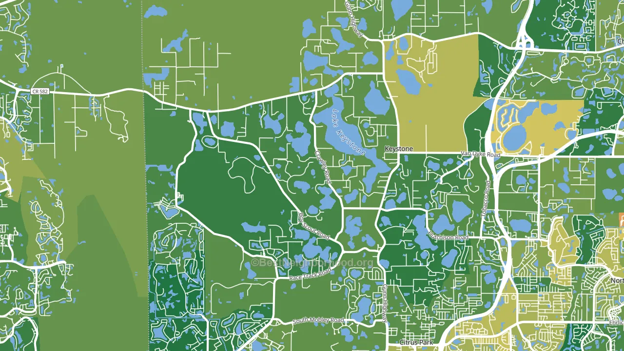 Keystone, FL block-group voter-turnout map