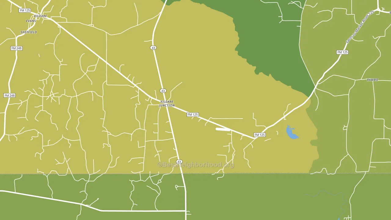 Kildare Junction, TX block-group voter-turnout map