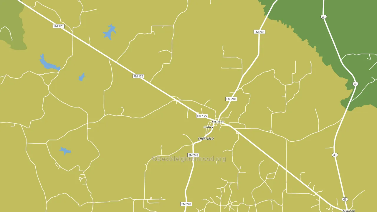 Kildare, TX block-group voter-turnout map
