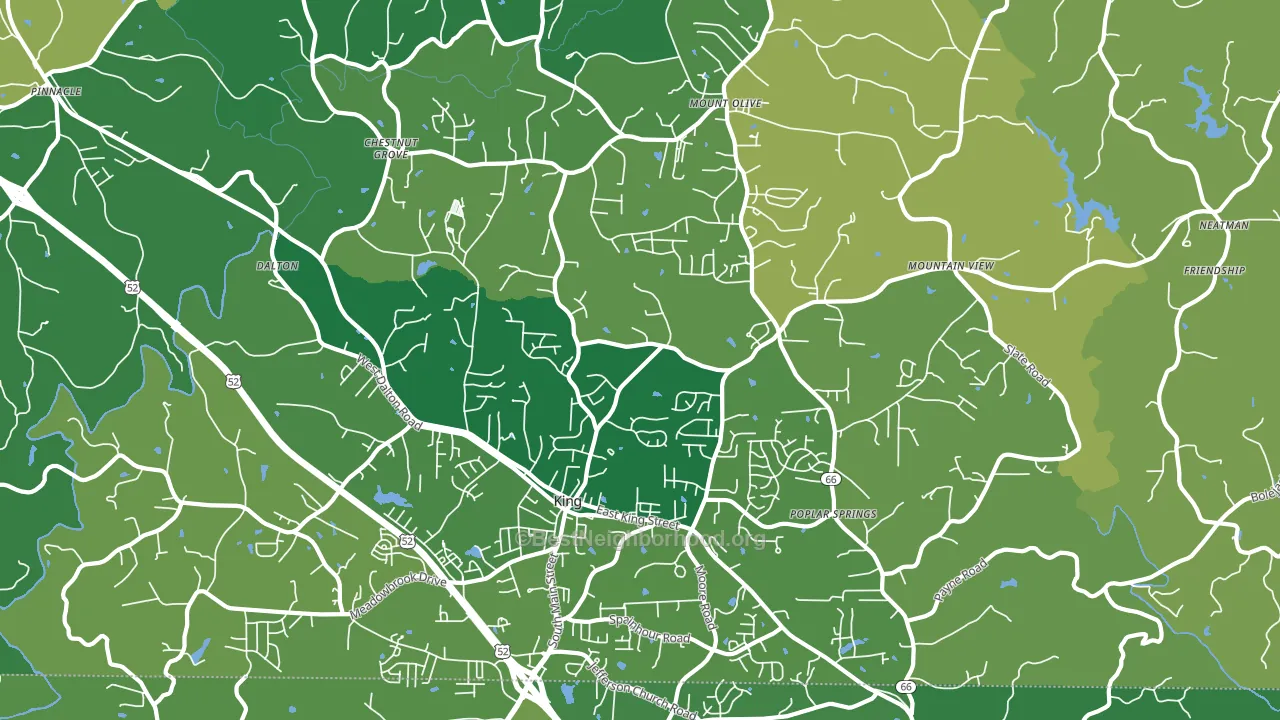 King, NC block-group voter-turnout map