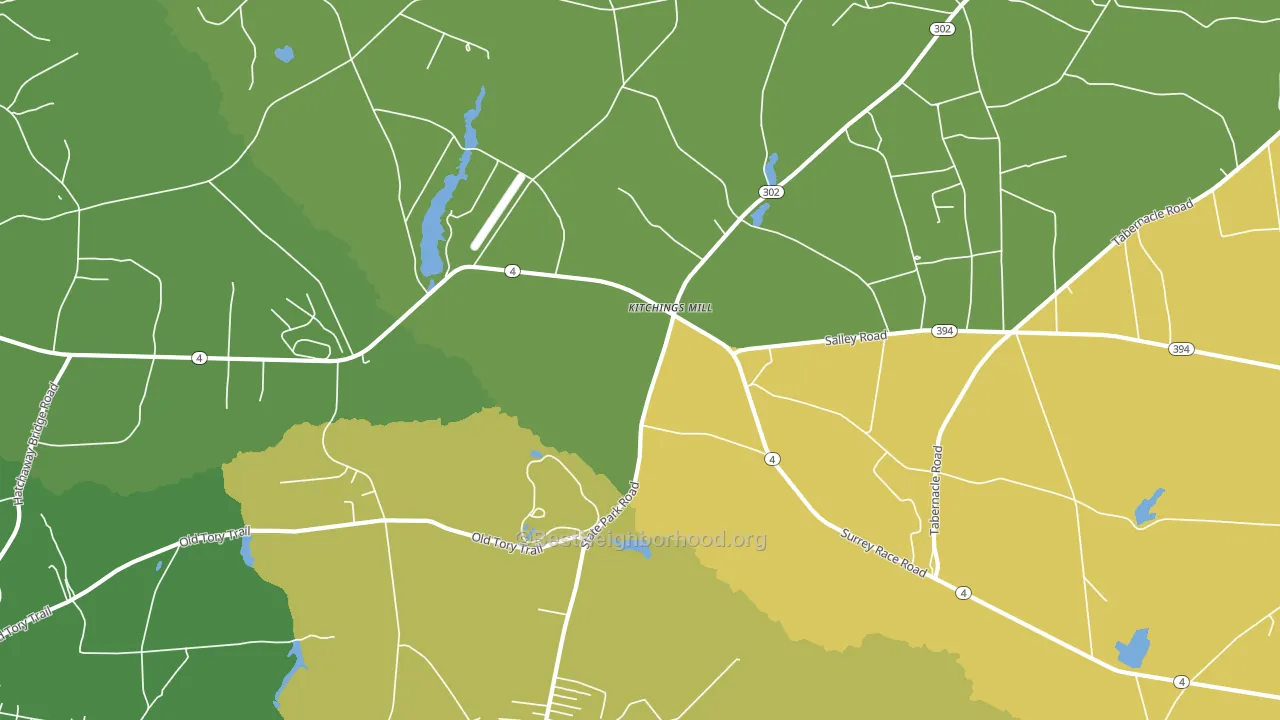 Kitchings Mill, SC block-group voter-turnout map