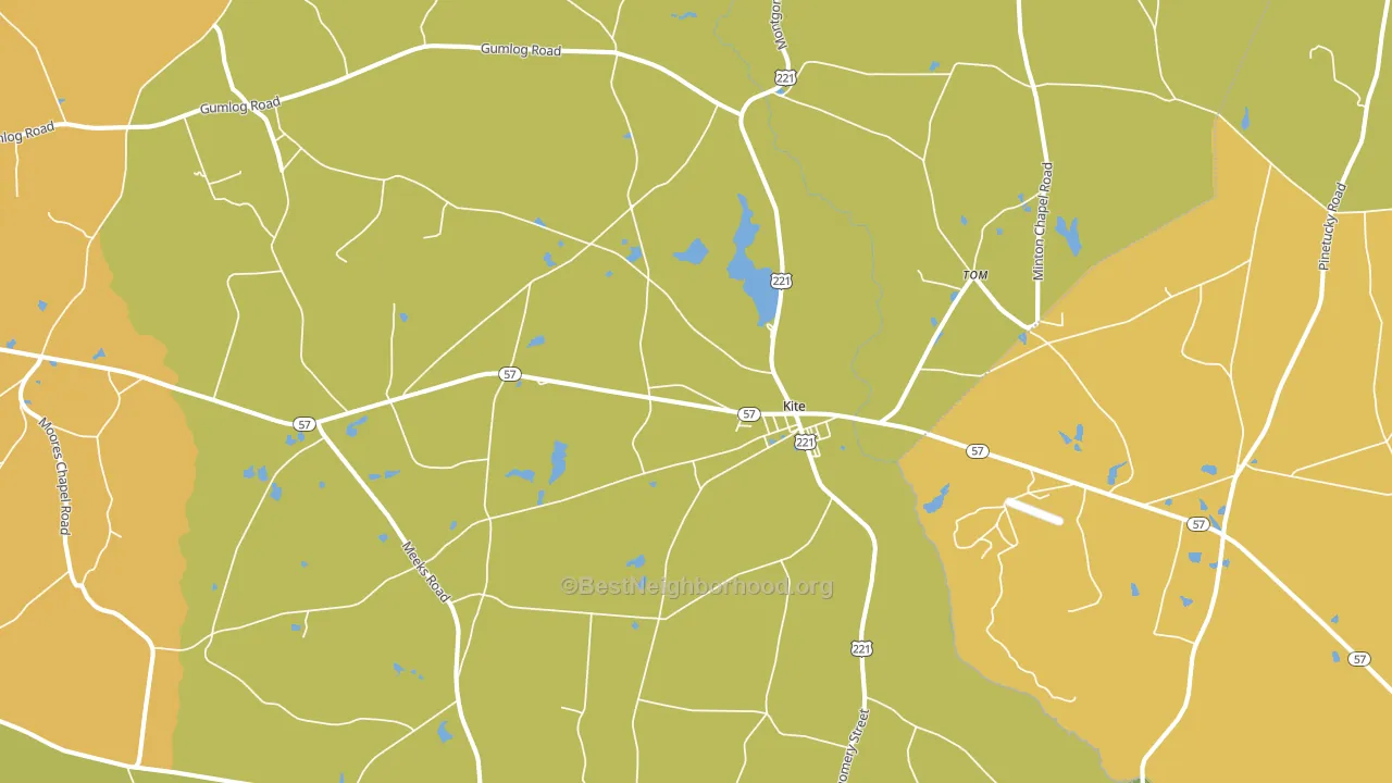 Kite, GA block-group voter-turnout map