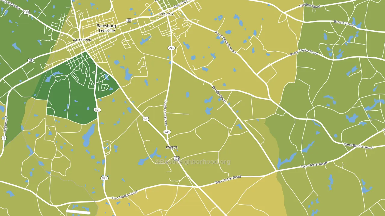 Kneece, SC block-group voter-turnout map