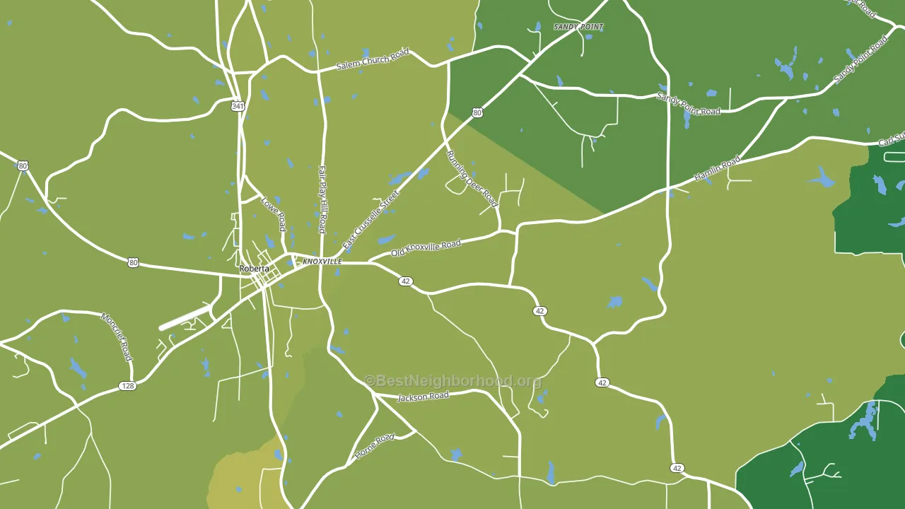 Knoxville, GA block-group voter-turnout map