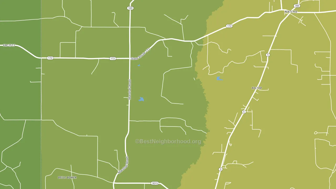 Kolter, LA block-group voter-turnout map