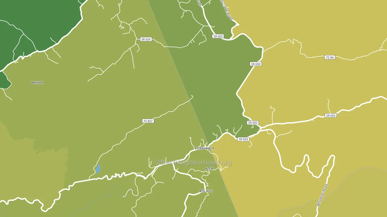 Konnarock, VA block-group voter-turnout map