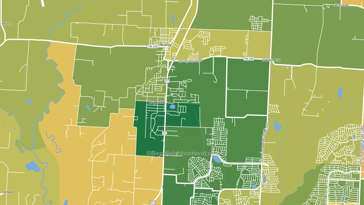 Krugerville, TX block-group voter-turnout map