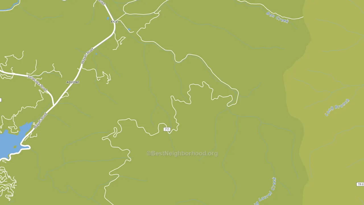 Kyle, NC block-group voter-turnout map