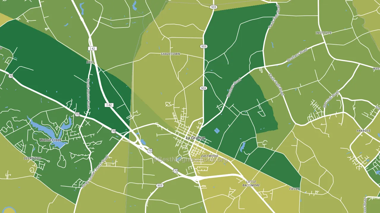 La Grange, NC block-group voter-turnout map