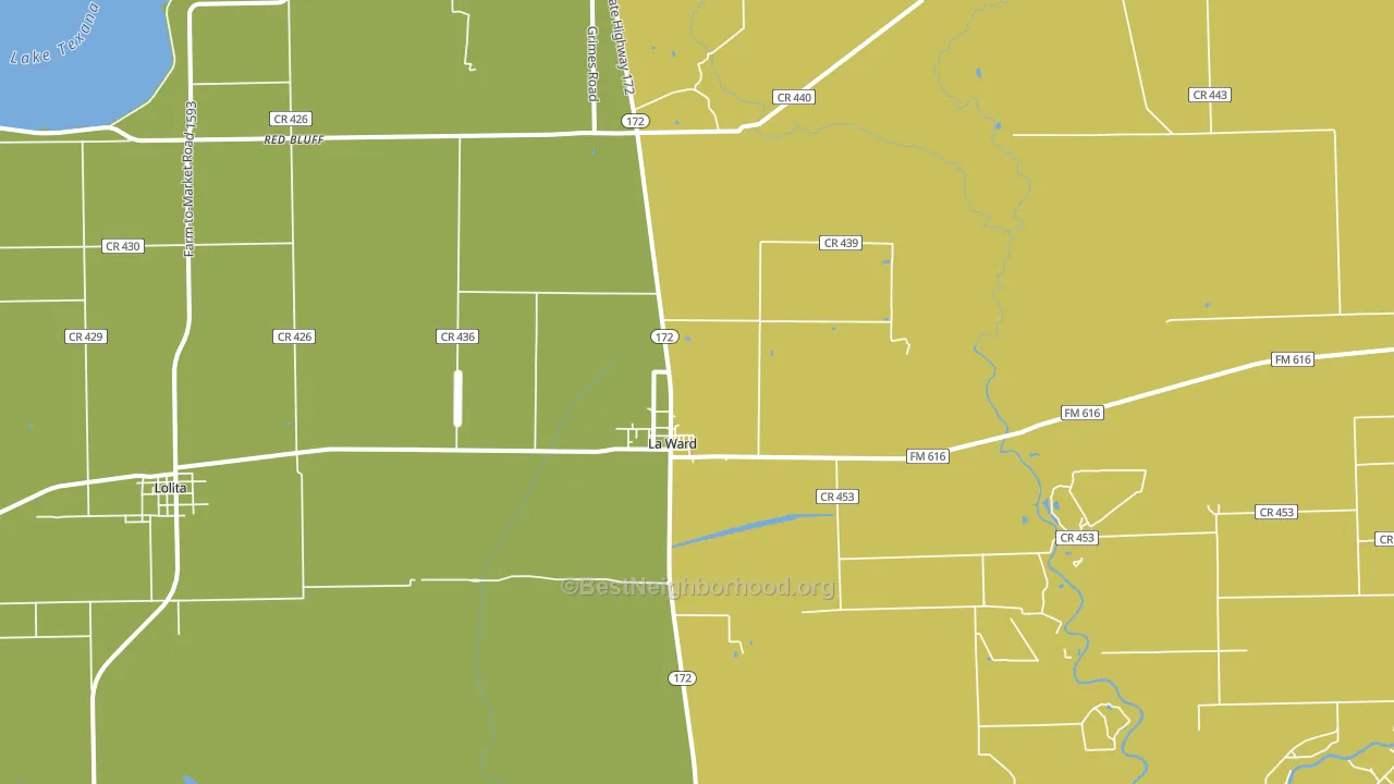 La Ward, TX block-group voter-turnout map