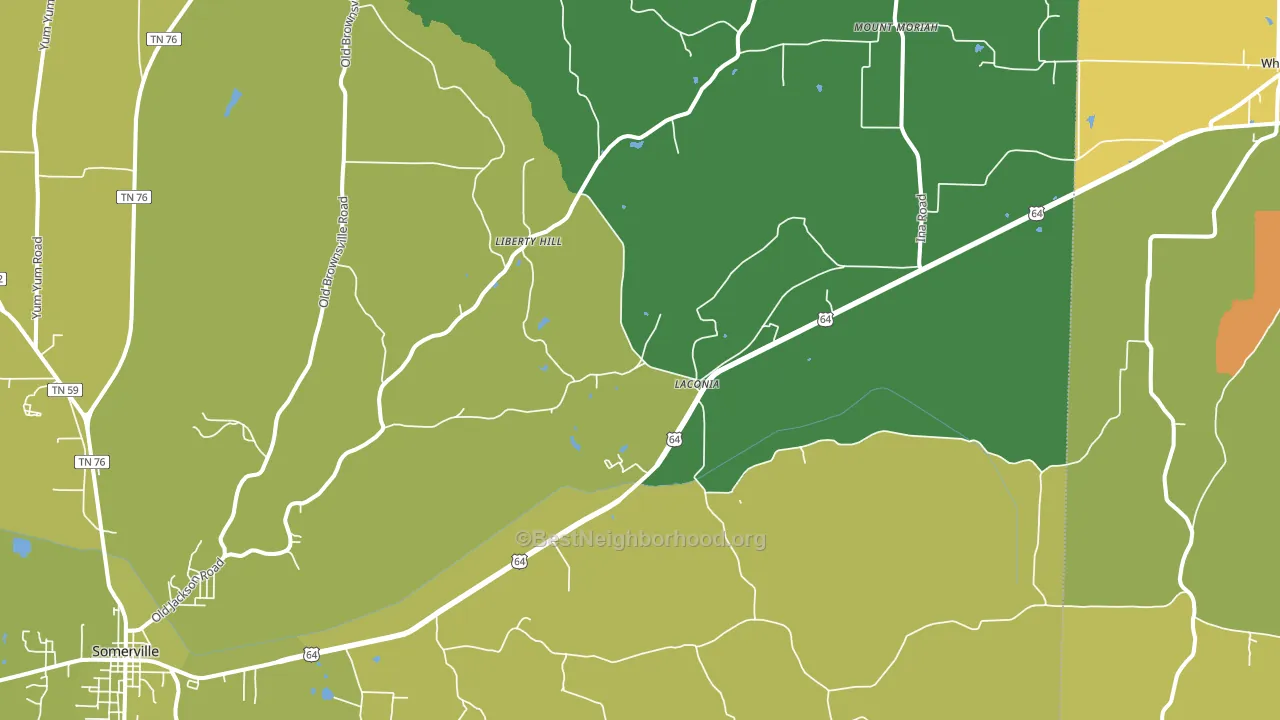 Laconia, TN block-group voter-turnout map
