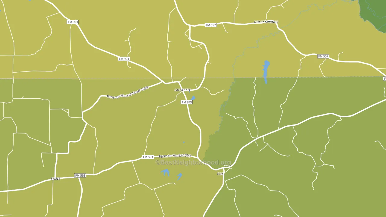 LaFayette, TX block-group voter-turnout map