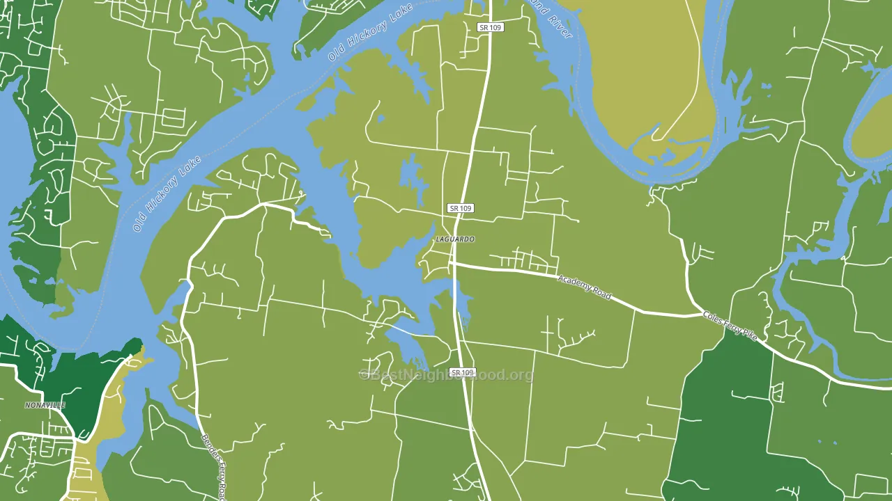 Laguardo, TN block-group voter-turnout map