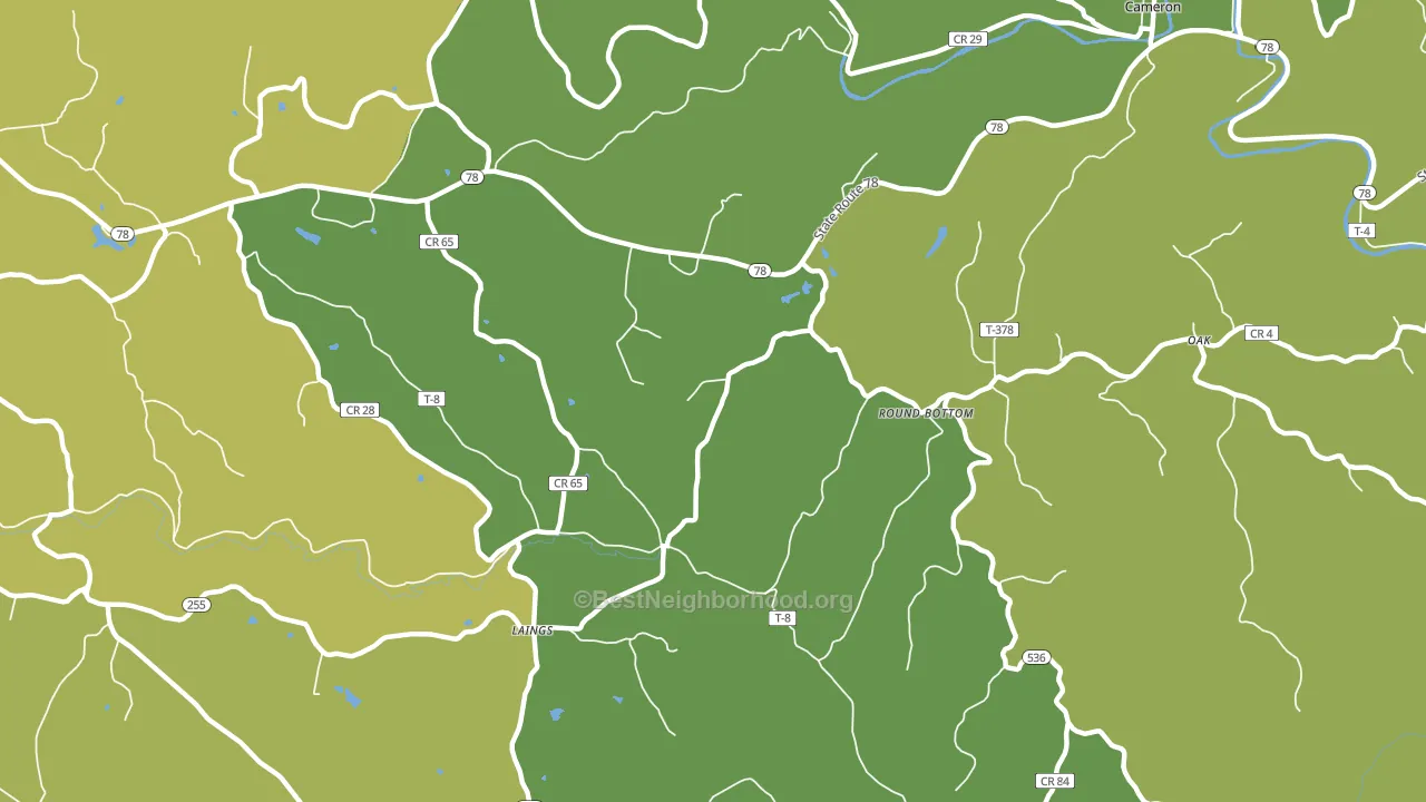 Laings, OH block-group voter-turnout map