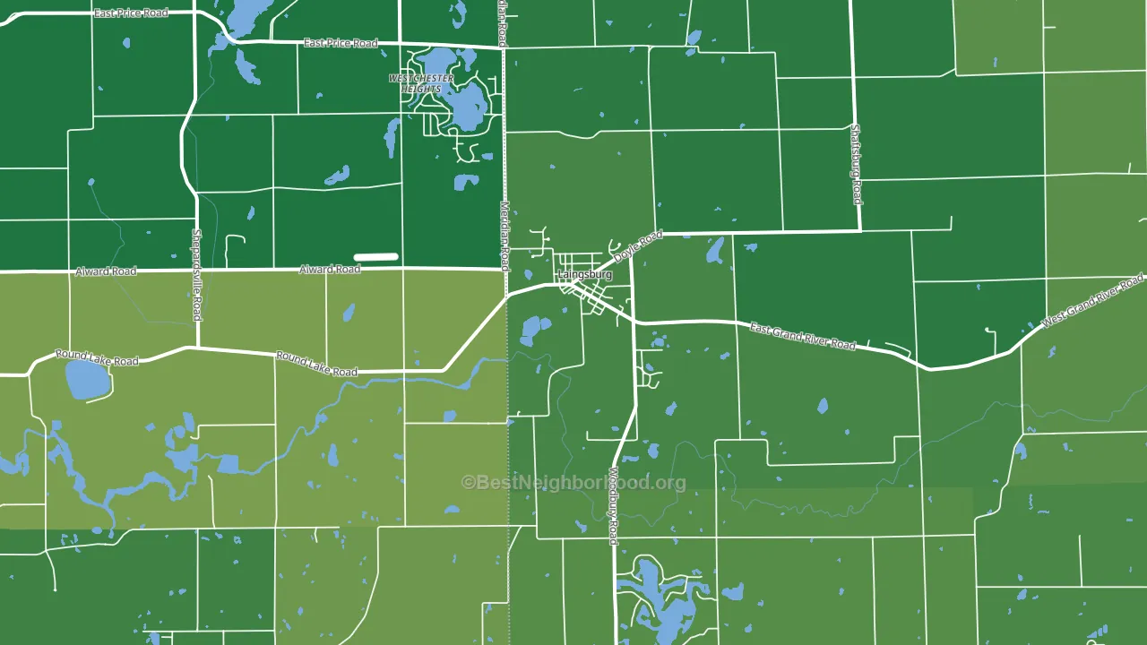 Laingsburg, MI block-group voter-turnout map