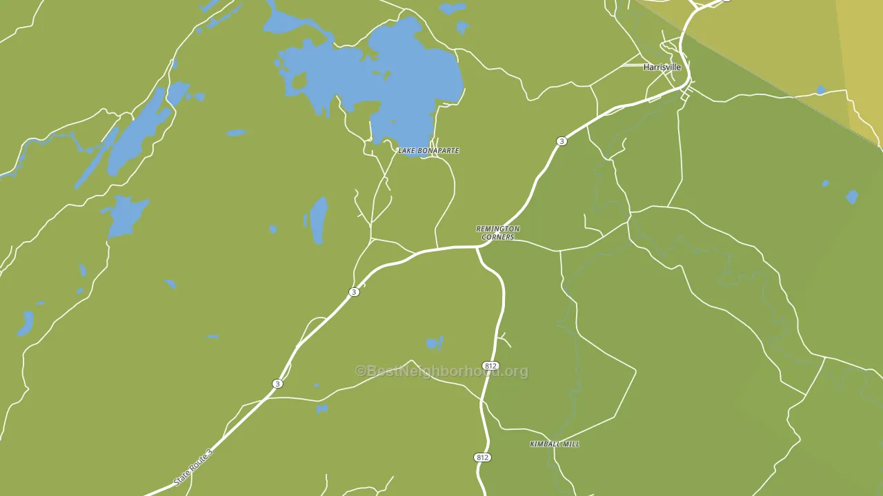 Lake Bonaparte, NY block-group voter-turnout map
