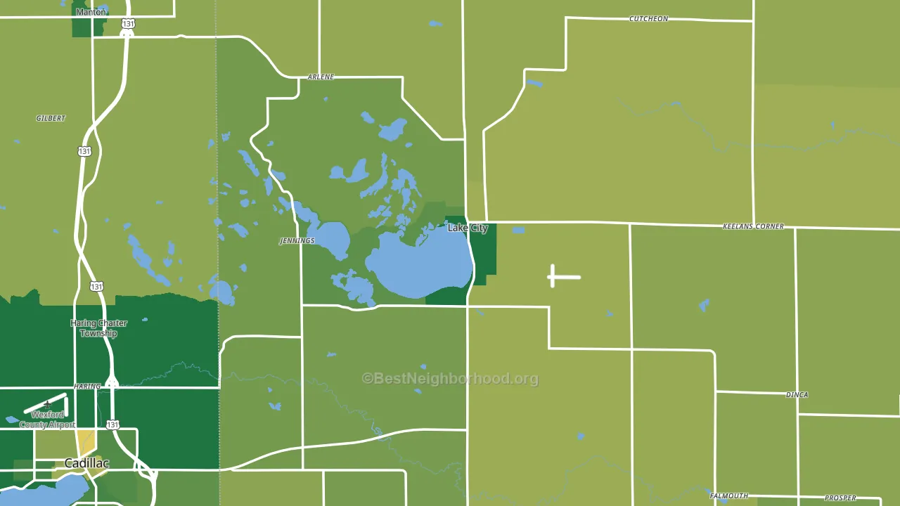 Lake City, MI block-group voter-turnout map
