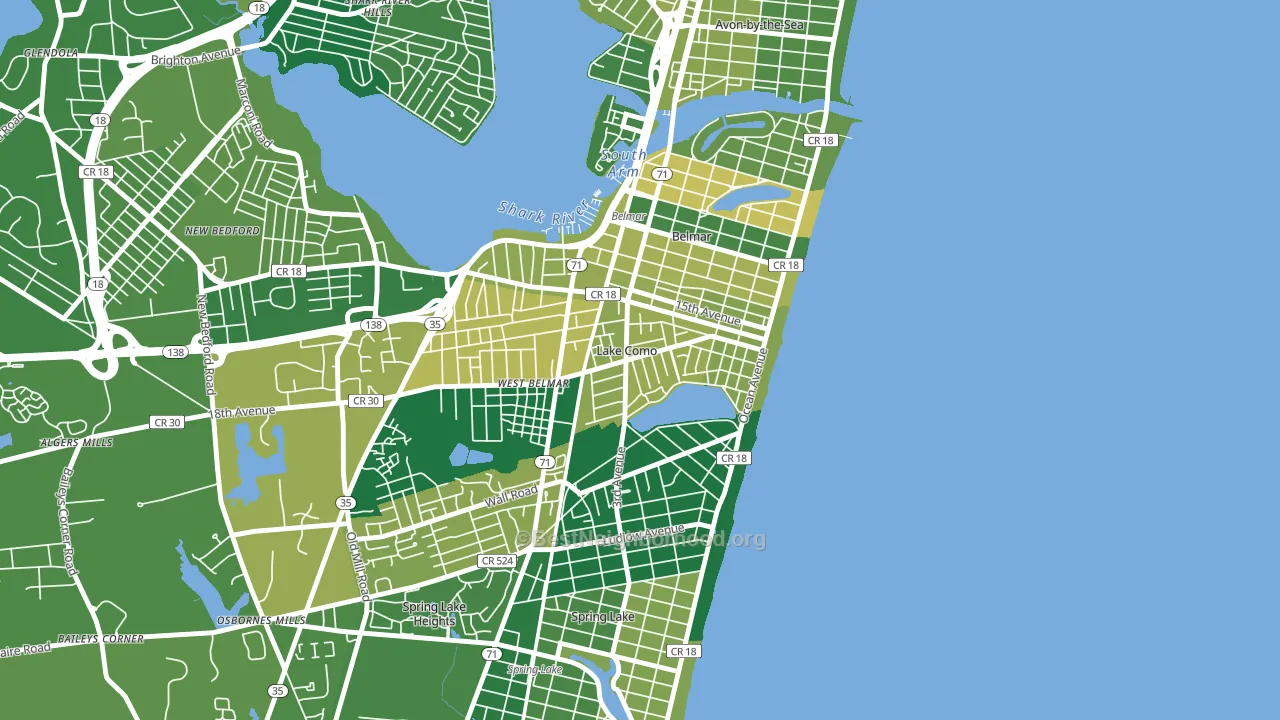 Lake Como, NJ block-group voter-turnout map