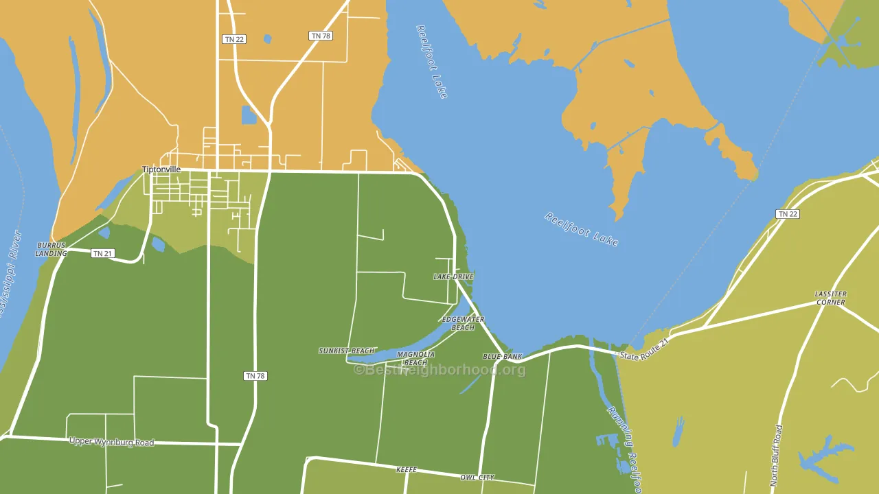 Lake Drive, TN block-group voter-turnout map