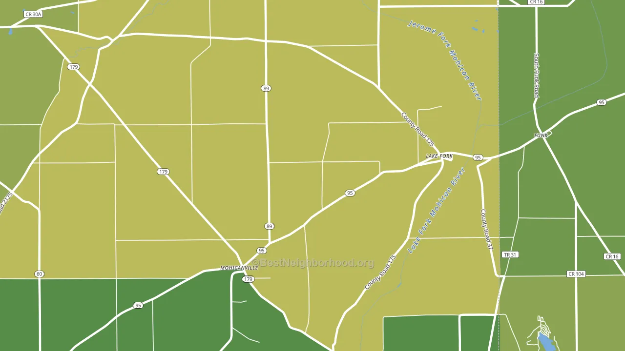 Lake Fork, OH block-group voter-turnout map