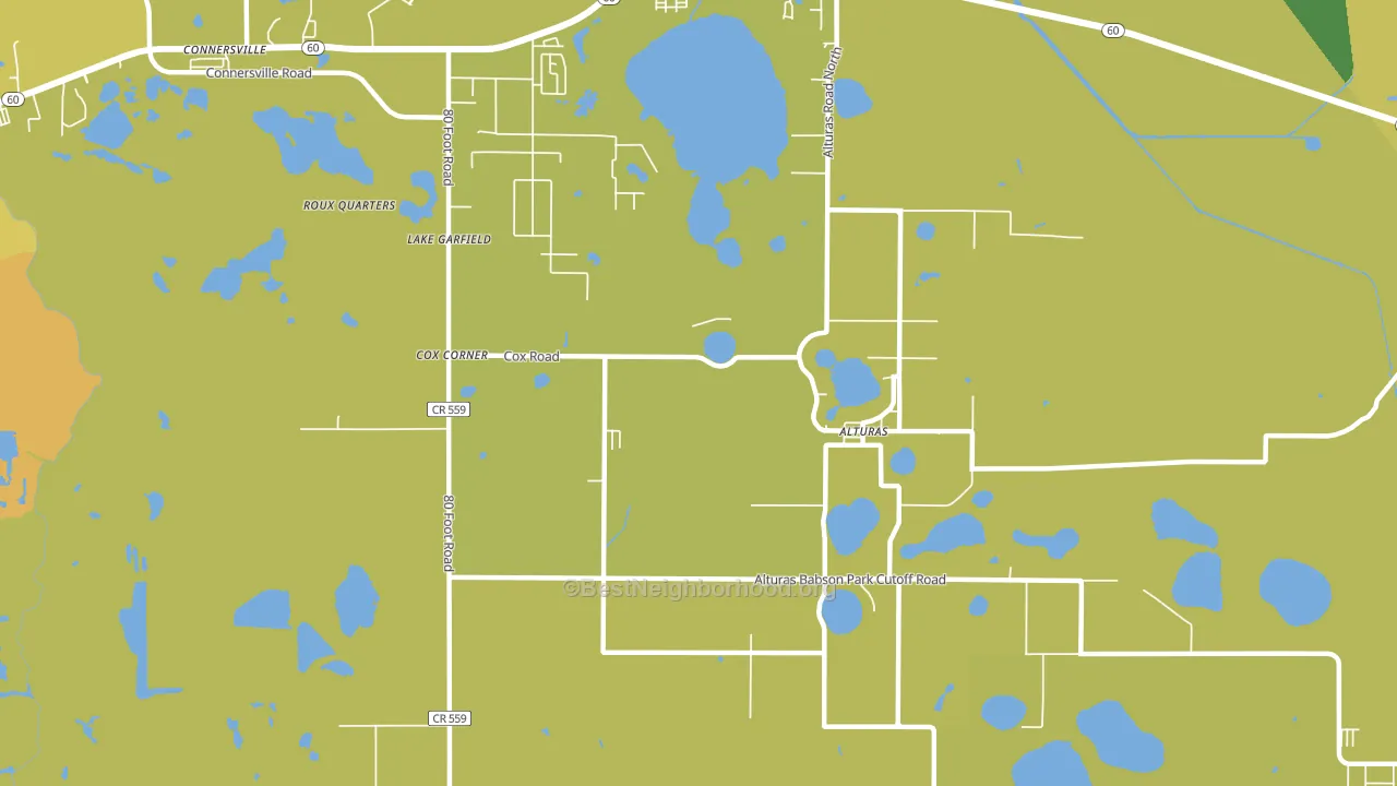 Lake Garfield, FL block-group voter-turnout map