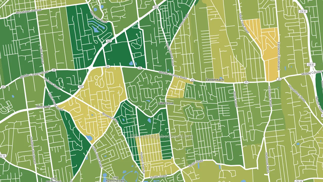 Lake Grove, NY block-group voter-turnout map