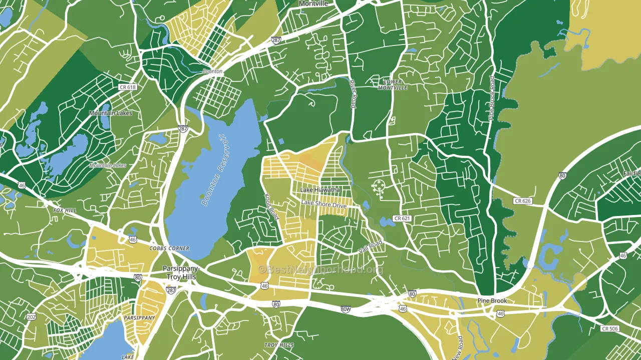 Lake Hiawatha, NJ block-group voter-turnout map