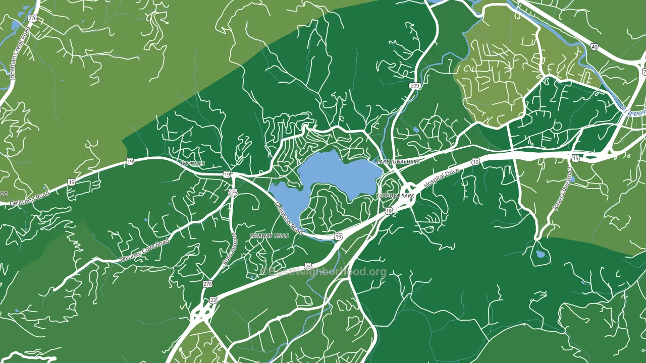 Lake Junaluska, NC block-group voter-turnout map