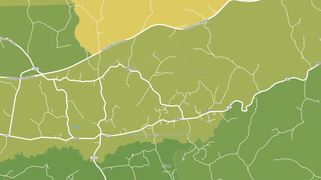 Lake, KY block-group voter-turnout map