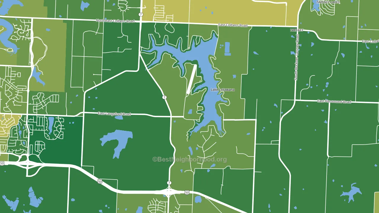 Lake Lotawana, MO block-group voter-turnout map