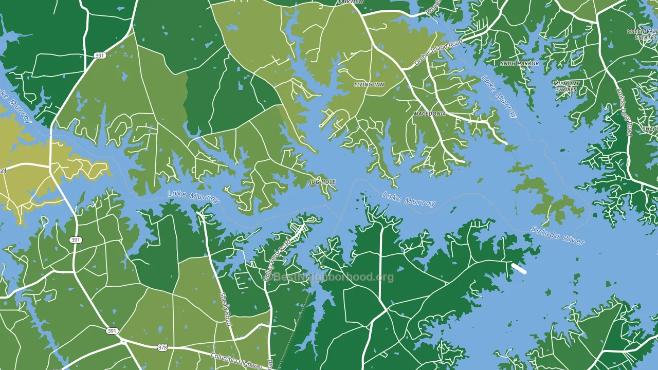 Lake Murray Shores, SC block-group voter-turnout map