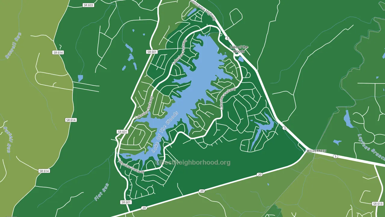 Lake of the Woods, VA block-group voter-turnout map