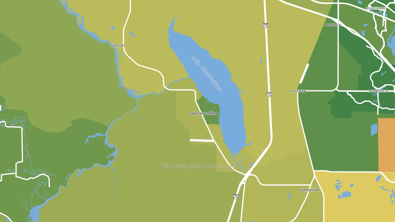 Lake Panasoffkee, FL block-group voter-turnout map