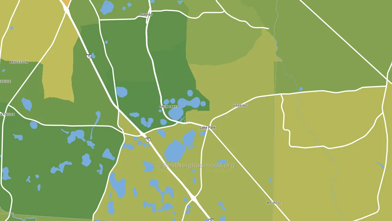 Lake Park, GA block-group voter-turnout map
