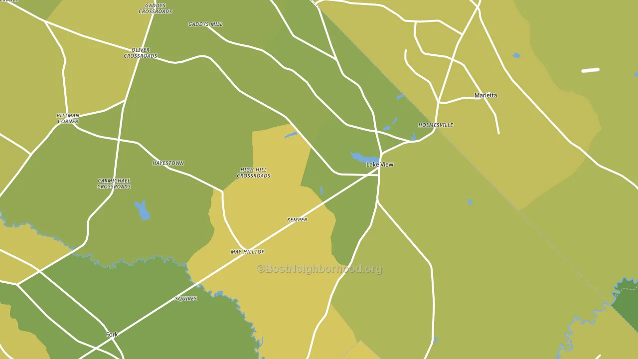 Lake View, SC block-group voter-turnout map