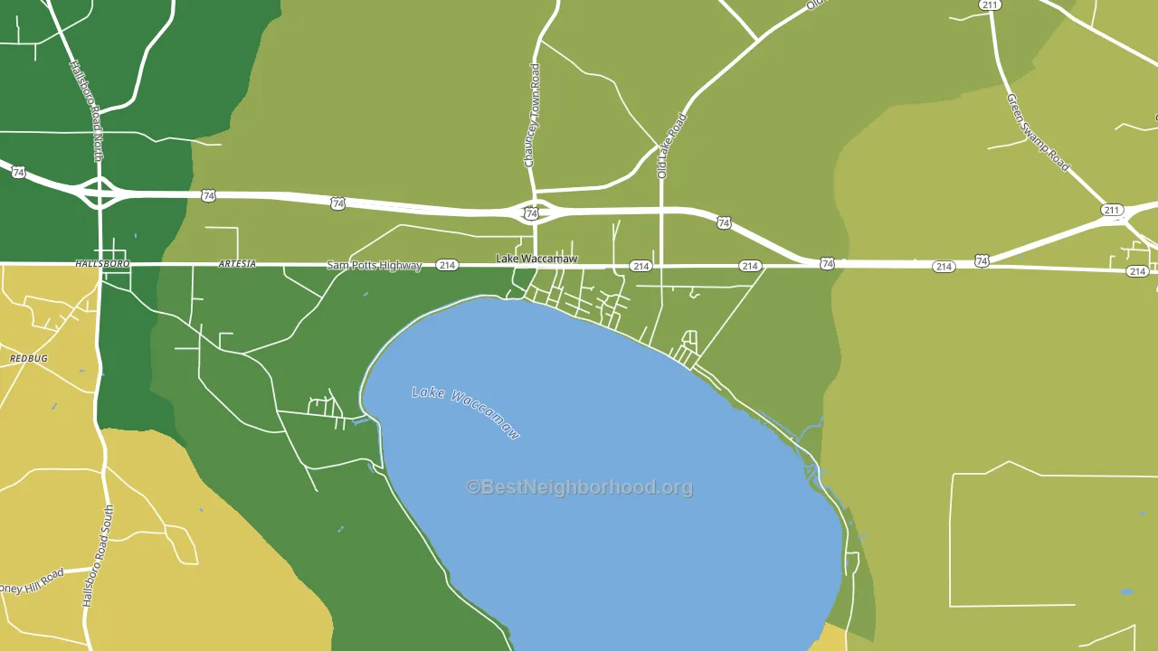Lake Waccamaw, NC block-group voter-turnout map