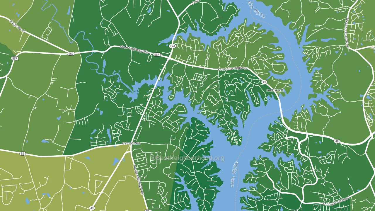 Lake Wylie, SC block-group voter-turnout map