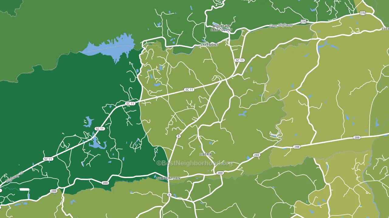 Lakemont, SC block-group voter-turnout map