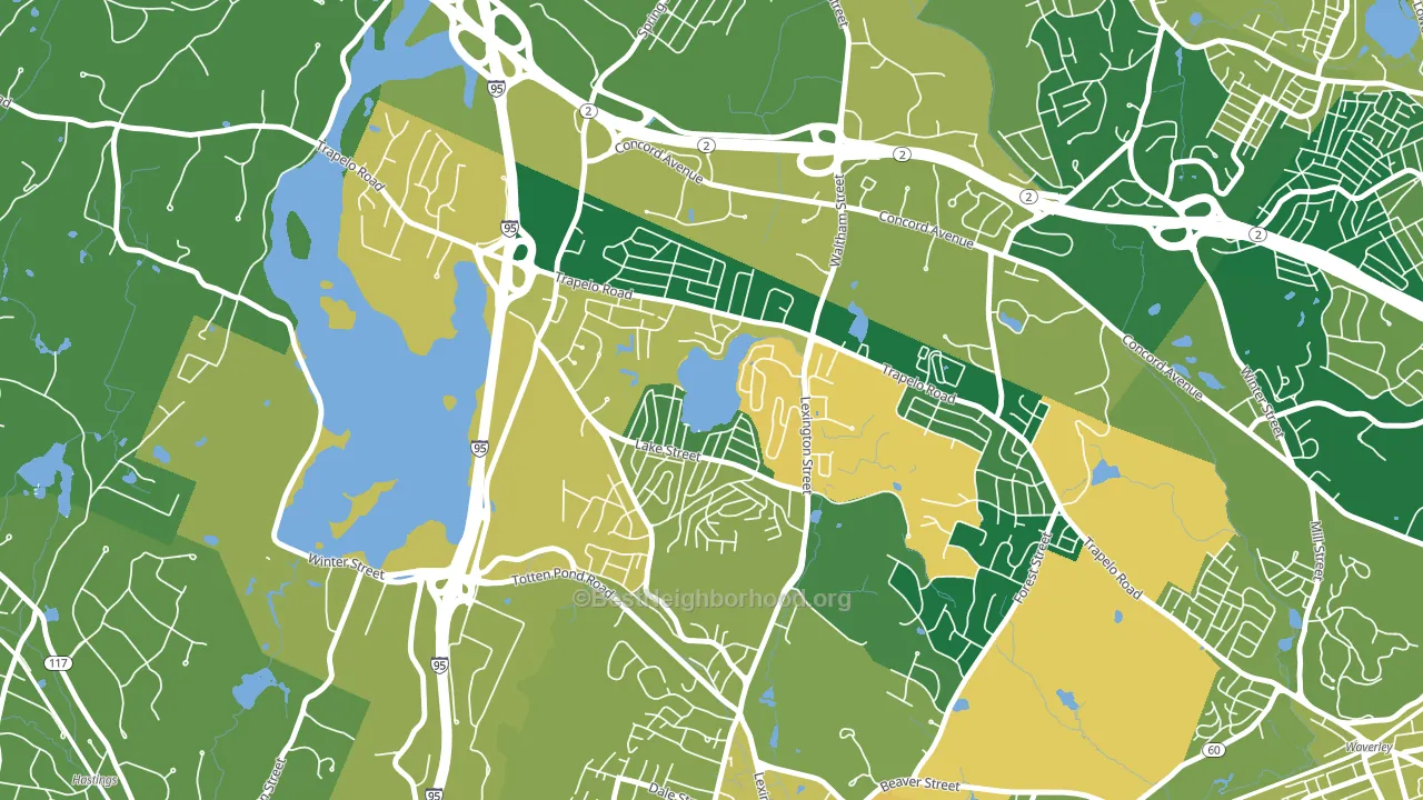 Lakeview, Waltham, MA block-group voter-turnout map