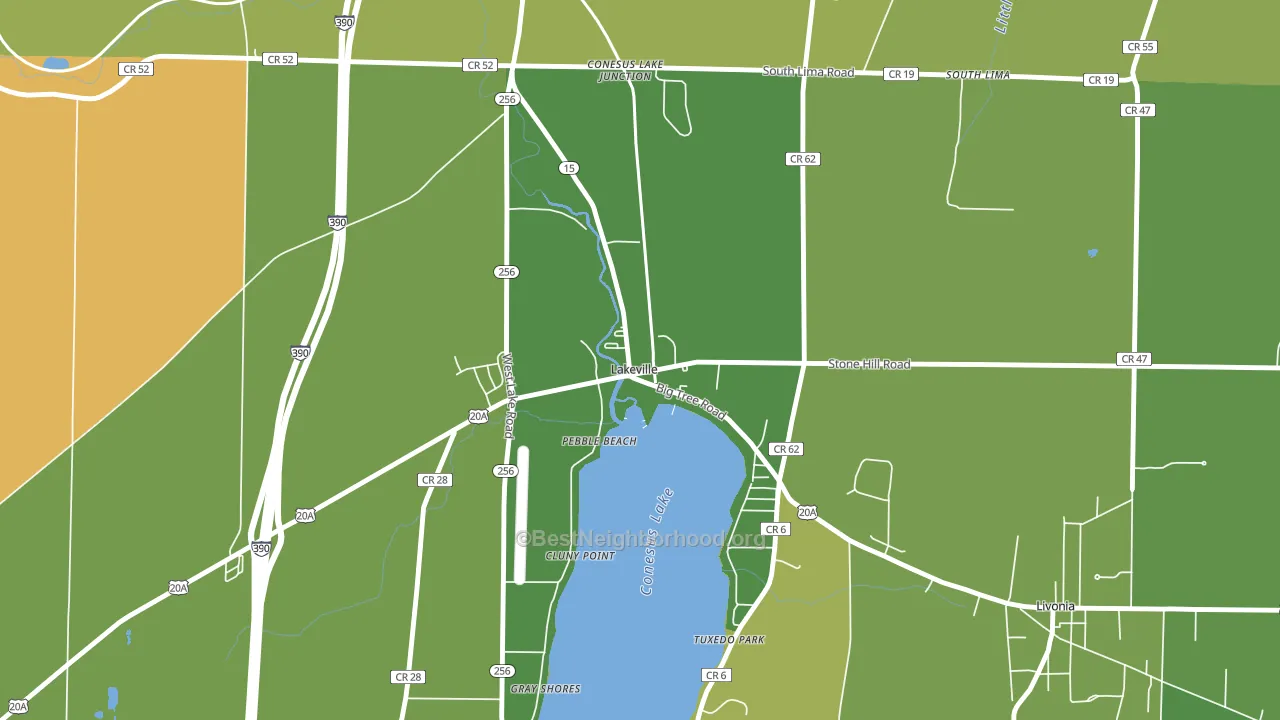 Lakeville, NY block-group voter-turnout map