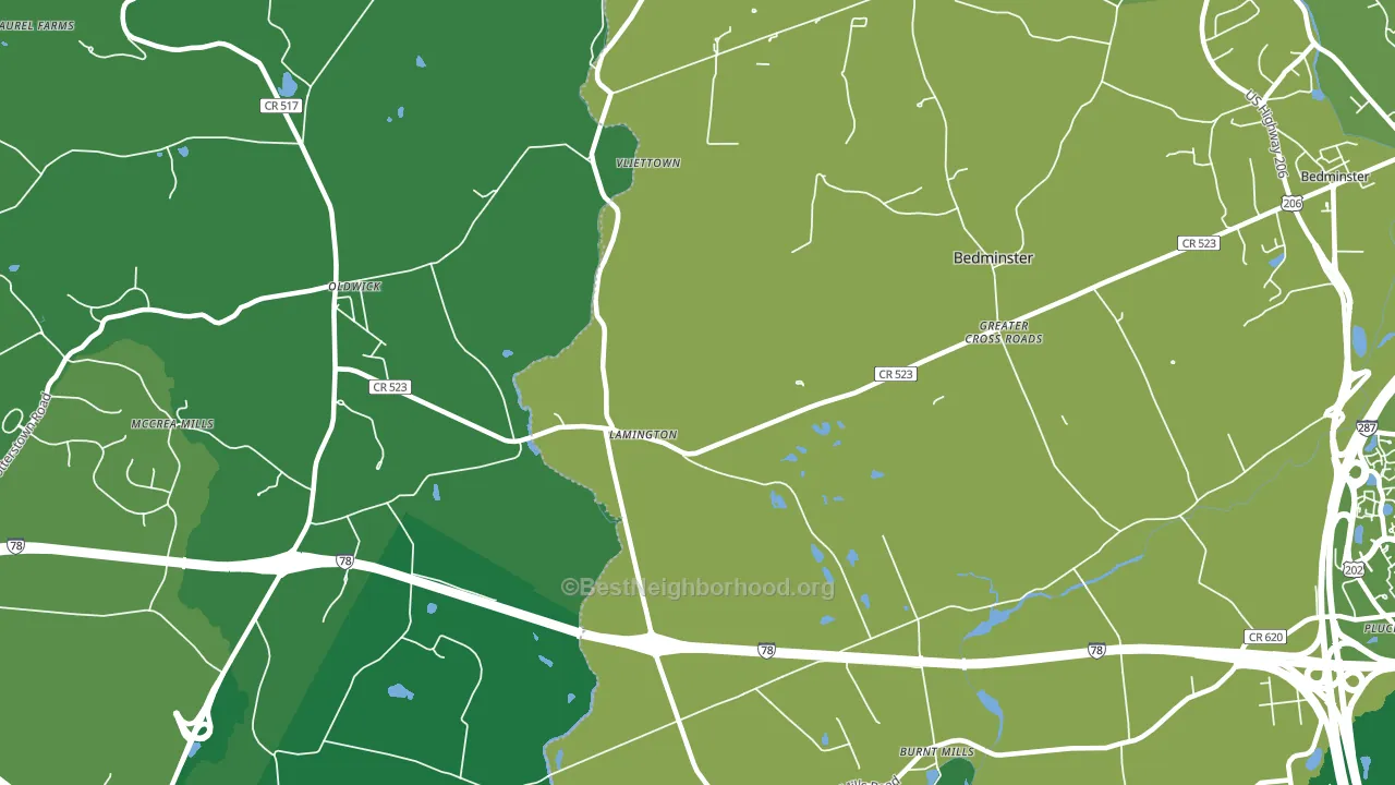 Lamington, NJ block-group voter-turnout map