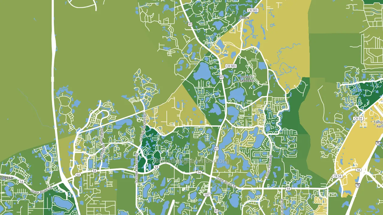 Land O' Lakes, FL block-group voter-turnout map