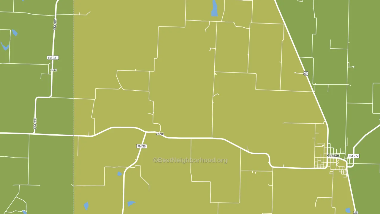 Lane, TX block-group voter-turnout map
