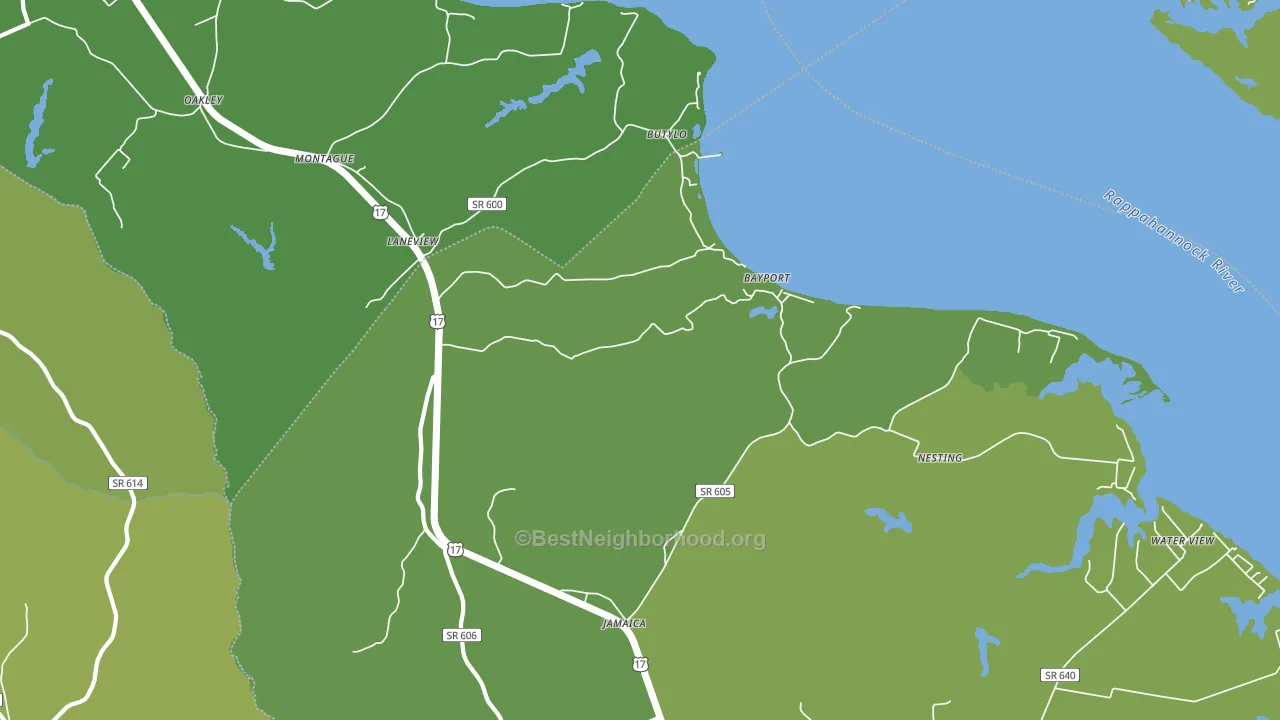 Laneview, VA block-group voter-turnout map