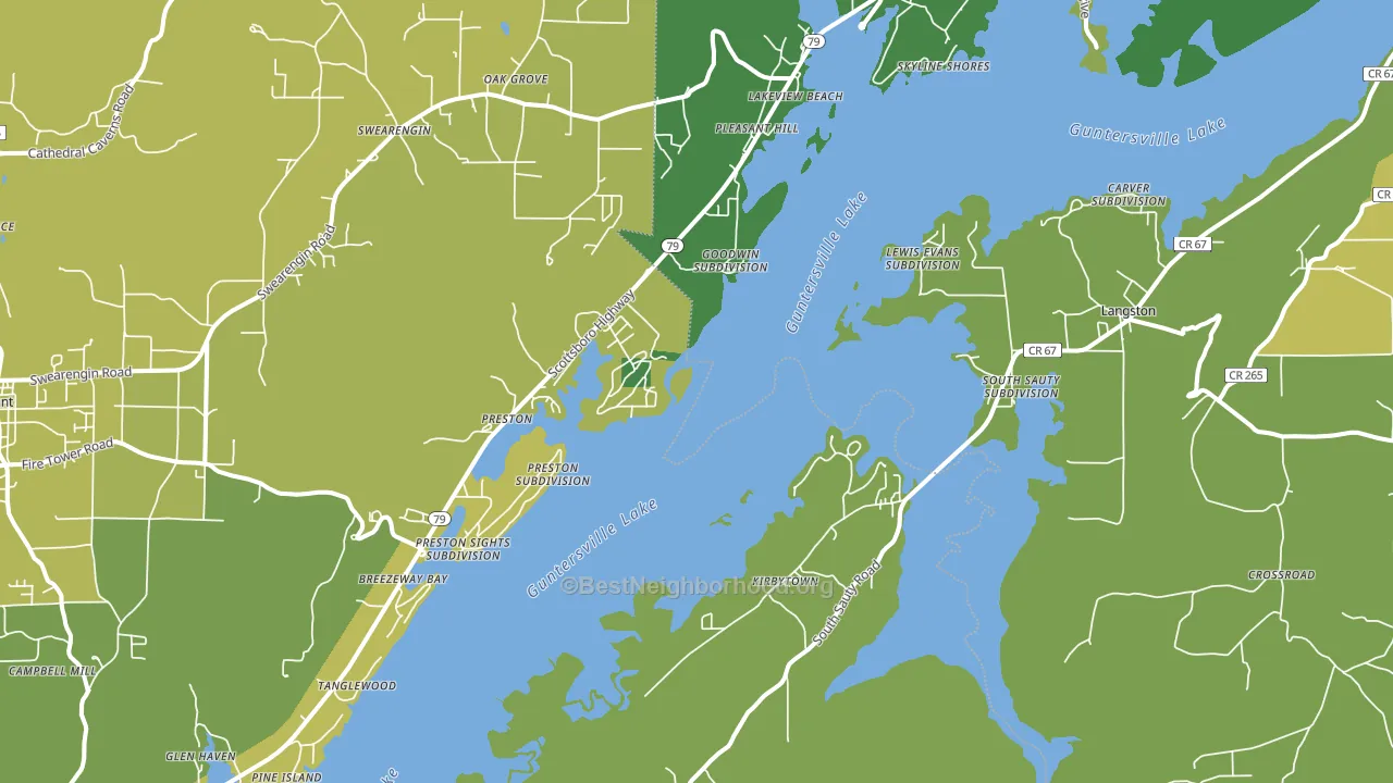 Langston, AL block-group voter-turnout map