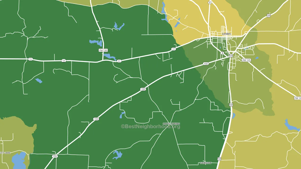 Lanier, TX block-group voter-turnout map
