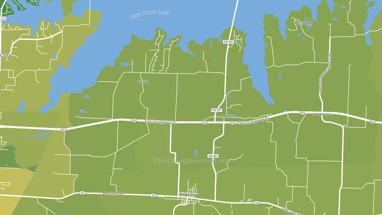 Lannius, TX block-group voter-turnout map